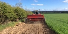 Balgonie Grey Partridge Recovery Project