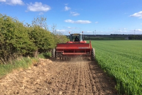 Sowing of habitat measures at Balgonie Estate