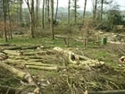 We need an integrated approach to land management: our letter to The Times