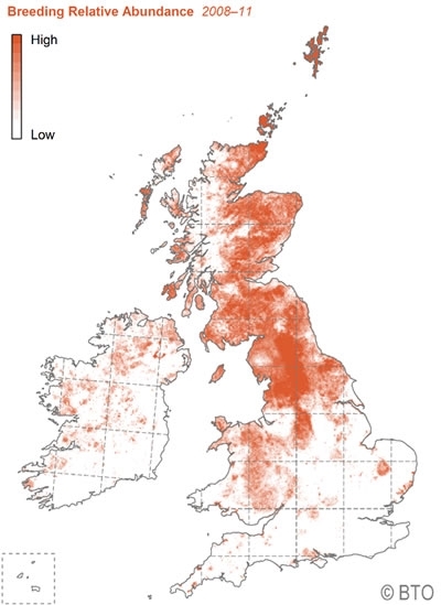 BTO Abundance Map 2007 11