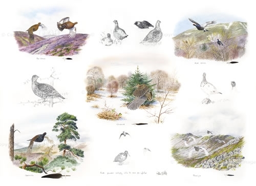 Pin Feather Challenge _ws Pin Feather Challenge _ws