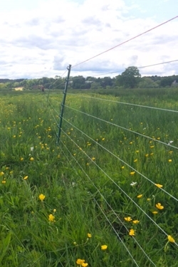 Electric fencing