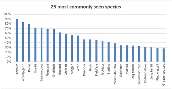 2017 Most Commonly Seen Species 2017 Most Commonly Seen Species