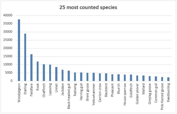 2017 Most Counted Species 2017 Most Counted Species