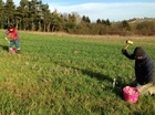 'Essential Soil and Water Conference' at the Allerton Project