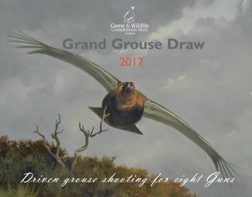 Grand Grouse Draw Grand Grouse Draw