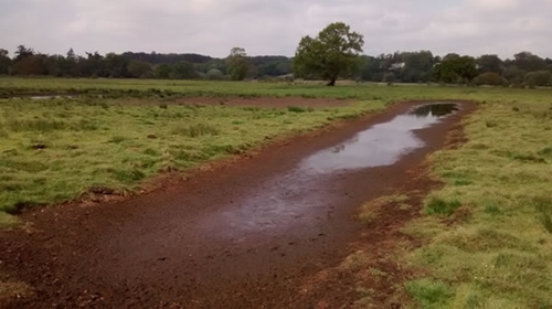 Wader Scrape