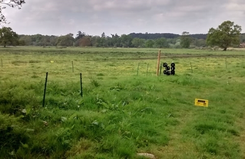 Electric Fencing