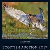 2017 Scottish Auction