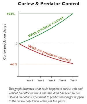 Curlewgraph