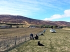 Game crop management at Auchnerran