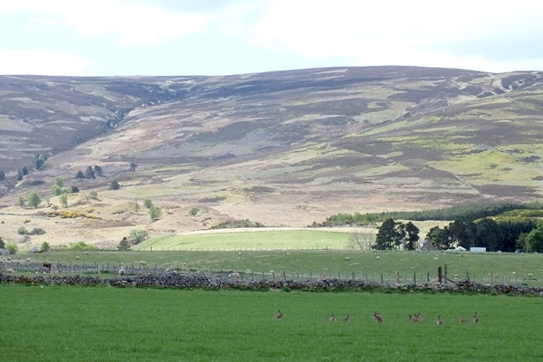 Farm view Farm view