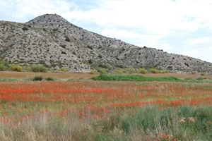 Research area