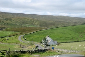 Harwood