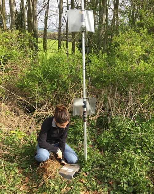 Allenford Anna Bat Detector