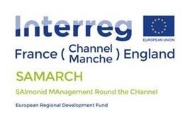 SAMARCH Logo