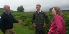 Berwyn, Migneint, Black Mountains & Radnor Upland Recovery Project