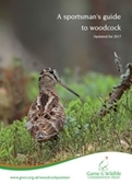 Sportsmans Guide Woodcock
