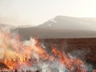 Completing the picture on grouse moor management