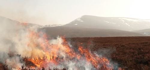 Burn Burn