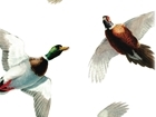Support wildlife conservation with the GWCT shoot sweepstakes