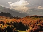 Grouse shooting on Ilkley Moor: our letter to The Yorkshire Post