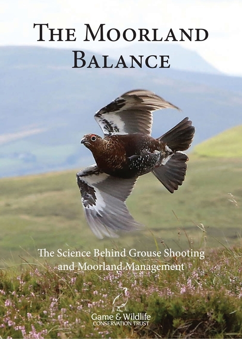 Moorland Balance