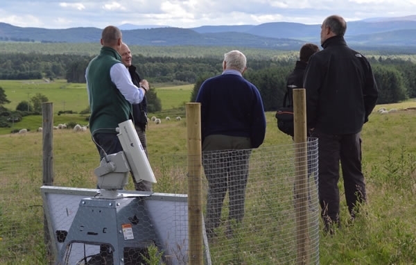 Laser Fence Laser Fence