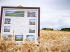 The truly bespoke Shoot Centrepiece from Over & Under Sporting Photography