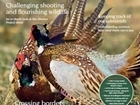 Autumn Gamewise magazine preview