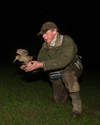 Owen Williams Releasing Ringed Woodcock
