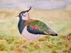 P&K’s budding wildlife artists raise their game!
