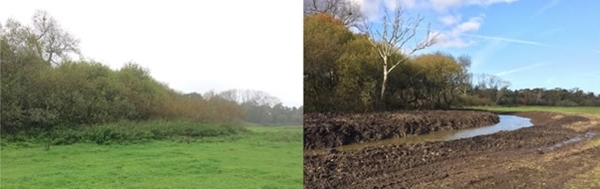 Ellingham Water Meadows