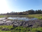Introducing the Ellingham Floodplain Restoration project