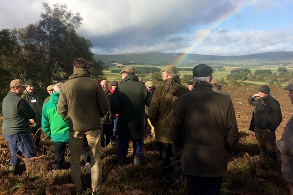 Woodland planting Woodland planting