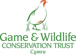 Logo _Cymru _2Col