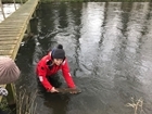 GWCT fisheries team in action for SAMARCH