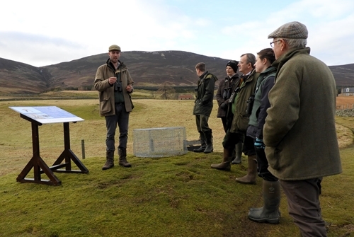 Merlin Becker describing the benefits of game crops for farmland biodiversity