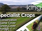 2018 catalogue out now: guest blog by Kings