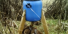 Next Steps in Reversing Biodiversity Decline on Farms in NE Wales
