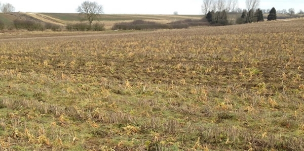 Sprayed _off _cover _crop 2018