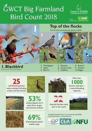 BFBC Infographic