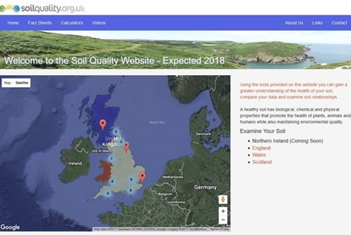Website Website