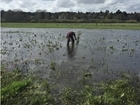 An unusual spring in the Avon Valley