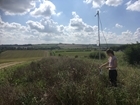 Farmers instrumental to the recovery of bats?