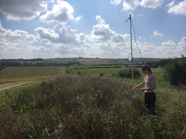 Belinda Bown .Research Assistant FEU.setting Sticky Traps .bat Project