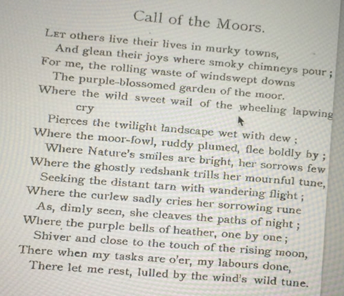 Curlewpoem Curlewpoem