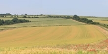 Farming through Brexit