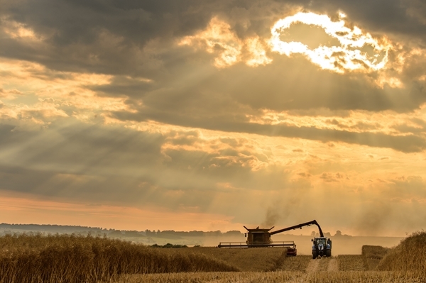 Sunset _Harvest _-1