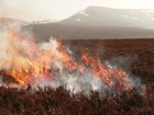 Managing our moors: GWCT letter to The Guardian